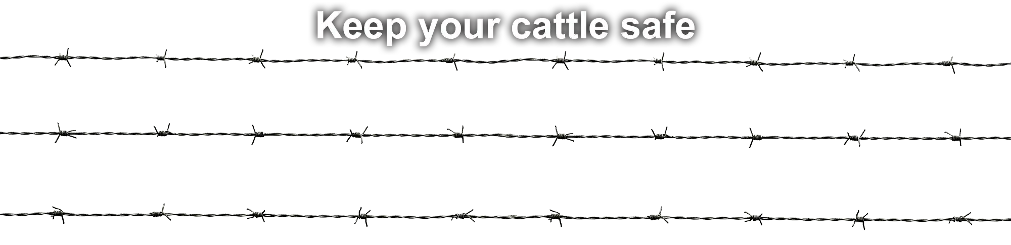 Fencing for Cows